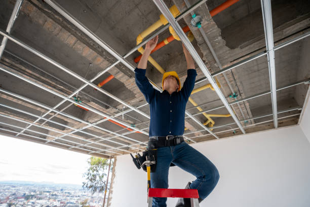 Best Affordable Plumber Near Me  in Louisvle, IL